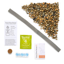 Load image into Gallery viewer, Terracotta Grow Kit: Healing Aloe