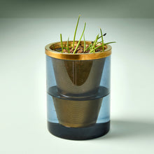 Load image into Gallery viewer, Hydroponic Grow Kit: Agave