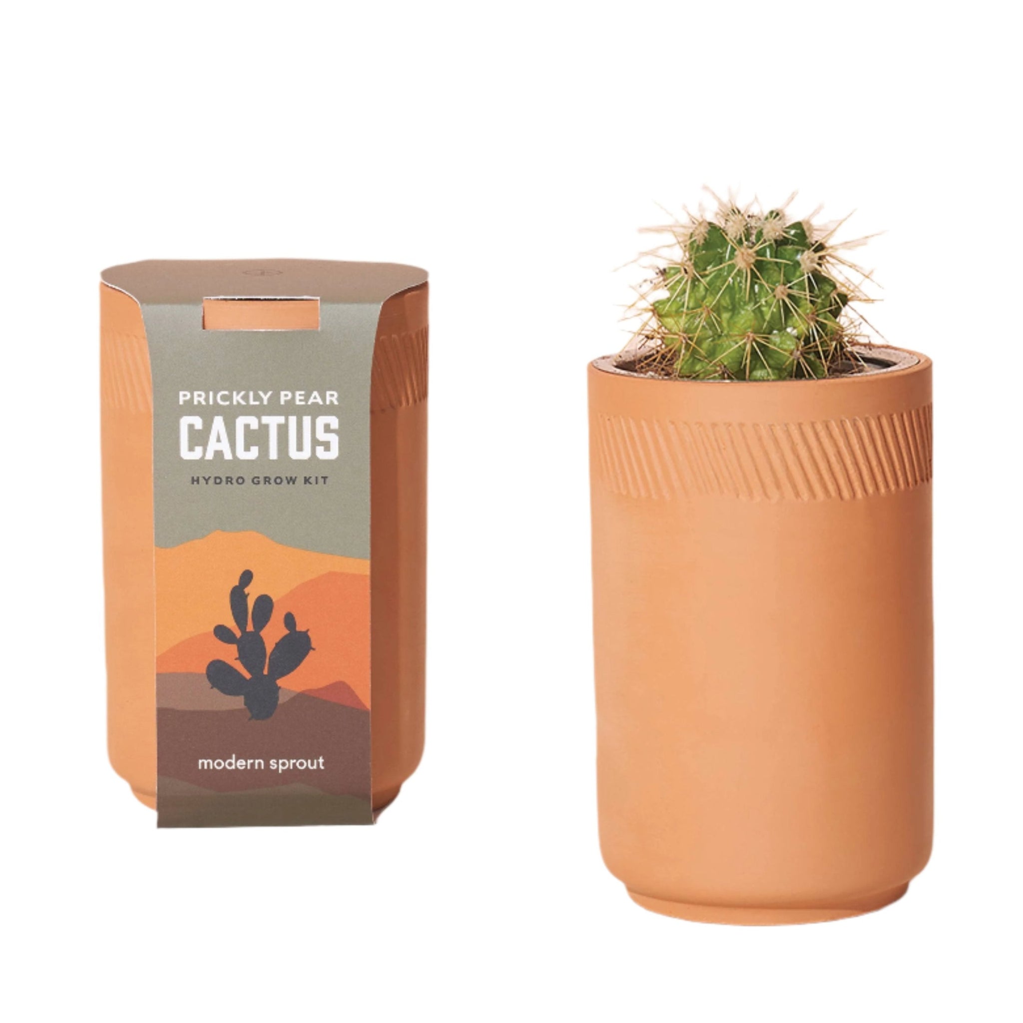 modern sprout prickly pear cactus Terracotta Grow Kit: Prickly Pear Cactus – The Stores @ Scottsdale Arts