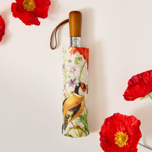 Load image into Gallery viewer, Maria Sibylla Merian Umbrella

